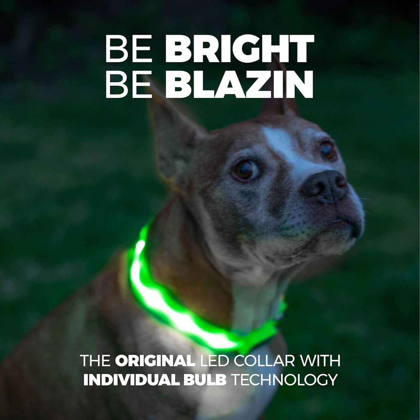 Light up Dog Collar - the Original LED Dog Collar - USB Rechargeable - Waterproof - 1,000 Feet of Visibility - Dog Collar Light for Small, Medium, Large Dogs - US Brand