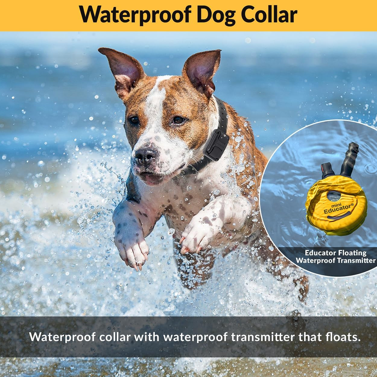 E-Collar ET-300 Mini  Remote Dog Training Collar – 1/2 Mile Waterproof, Premium Finger Clicker Trainer, 100 Stimulation Levels + Vibration + Light + Sound – 1 Dog Small to Medium, Yellow