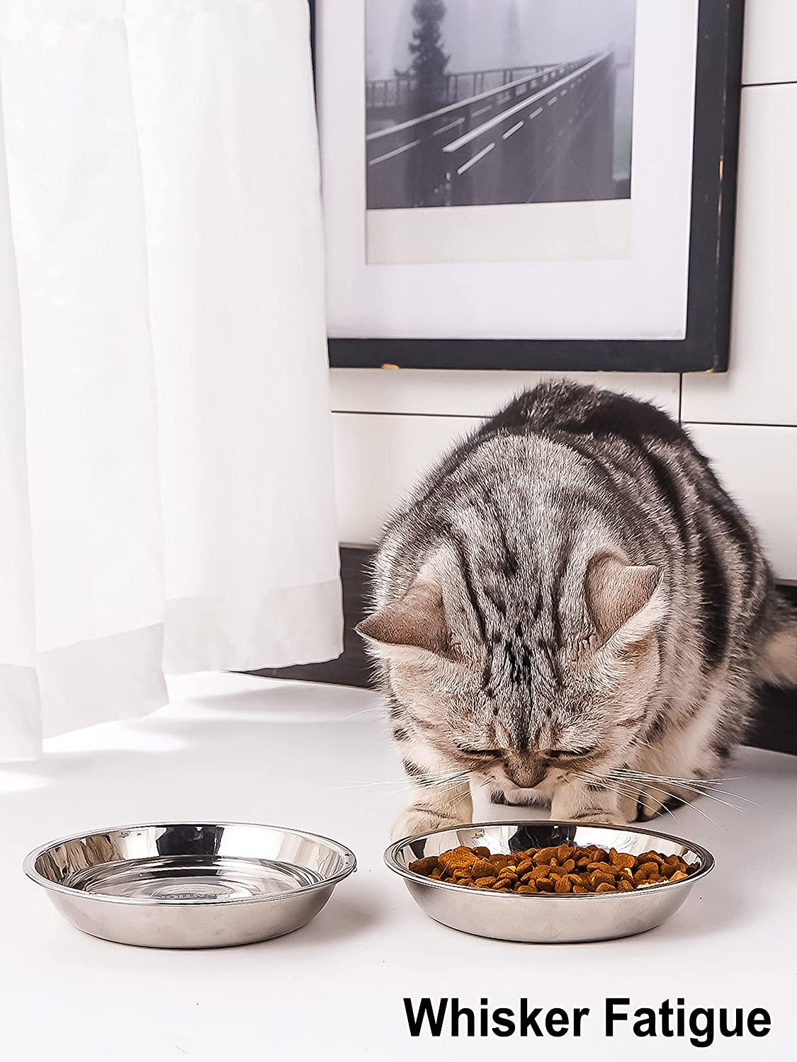 Small Shallow Cat Food Bowls, Outer Dia. 6.5 in Whisker Fatigue Cat Bowl, Stainless Steel Cat Food Dish for Indoor Cats, Set of 4 Replacement Cat Bowls for Raised Station(15.2 Fl.Oz)